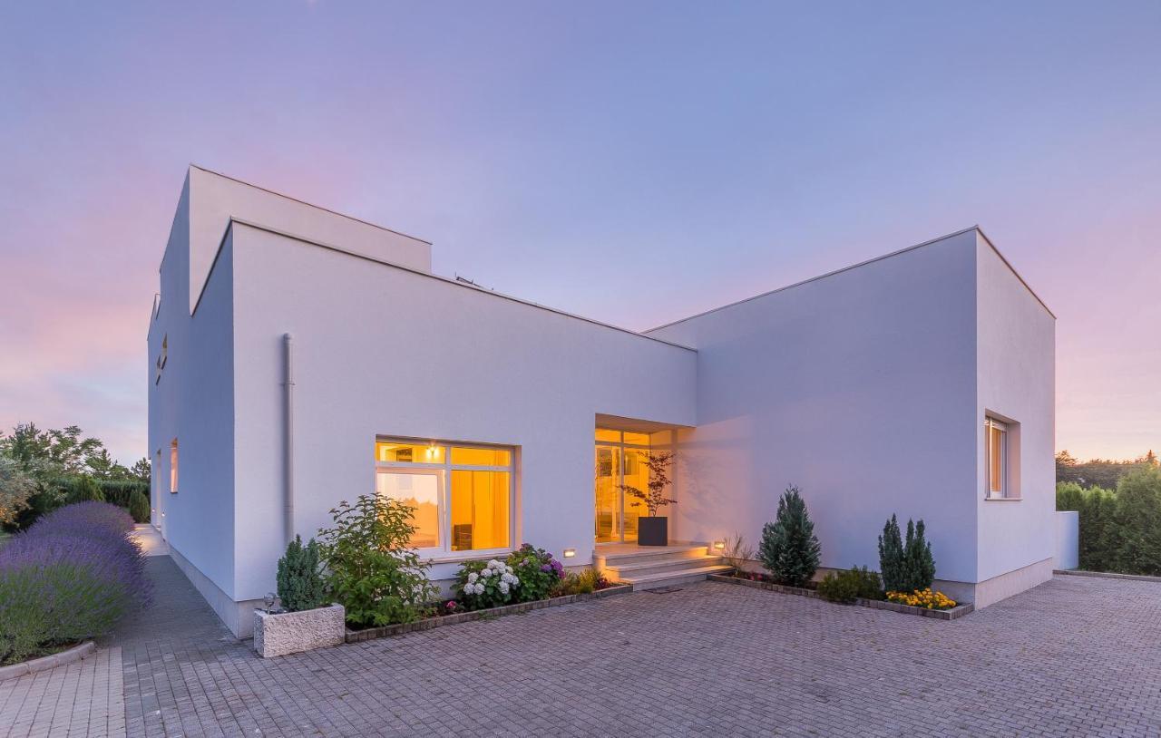 Villa Kate Istria Žminj Exteriér fotografie