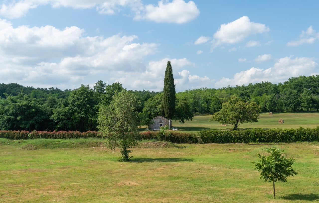 Villa Kate Istria Žminj Exteriér fotografie